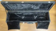 Item thumbnail for item 09c5b0dc-e0f3-4119-acef-2522a93b4ac2