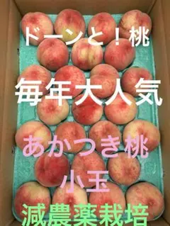 「減農薬栽培！あかつき桃 5k山形県東根市産小玉たっぷり25玉pk詰めのサムネイル