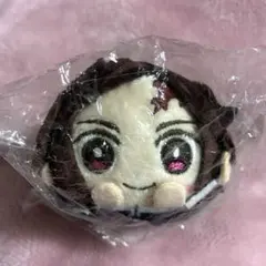 鬼滅の刃 炭治郎 もちころりん 新品未開封