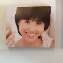 松田聖子　パネルのサムネイル
