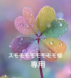 Item thumbnail for item 36c8a06a-f67a-4763-8a93-f80ac92b7e8a