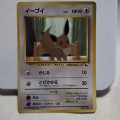 旧裏 イーブイ ● 拡張シート第1弾(青版)