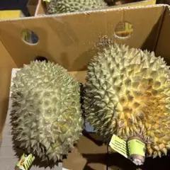 タイ産 ドリアン 2玉セット　火山ドリアン タイ産 ドリアン 2玉セット 火山ドリアン