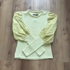 新品未使用タグ付　Kastaneデザイントップス