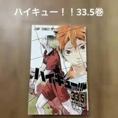 非売品　ハイキュー！！33.5巻　もう一回！　音駒番外編