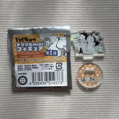 ハイキュー‼︎ 及川徹 岩泉一 アクリルminiフィギュア