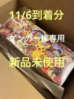 ⭐️ 【新品未開封】ポケモンセンター トウホクスペシャルボックス 11月分