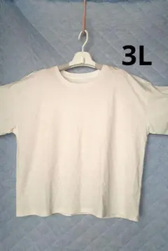 [770]白　六分袖Tシャツ　大きいサイズ