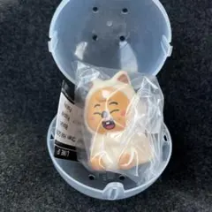 SKZOO ライトマスコット ハン クォッカ スキズ ガチャ カプセルトイ