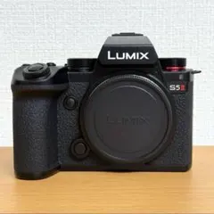 2025年最新】lumix s5iiの人気アイテム - メルカリ