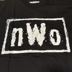 WWFザ ロック ドウェイン ジョンソン プロレス ワイルドスピード