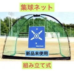 Item thumbnail for item 4554853d-ca97-4853-b3e3-1cf96e427340