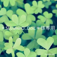 ＊SUzuHirO..DolL＊様専用ページです(^^♪