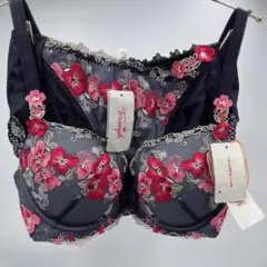 トリンプ プレミアム レッドレーベル 0074 ブラショーツセットE65-M