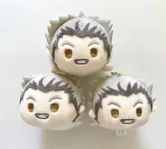 ハイキュー もちマス 木兎光太郎