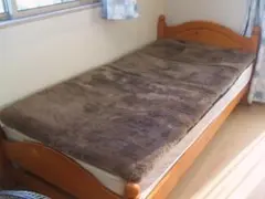 Item thumbnail for item 277f99cf-587e-4a94-954a-779ef5b7f41a