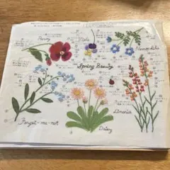 2025年最新】青木和子の人気アイテム - メルカリ