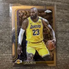 LeBron James Los Angeles Lakers Chrome