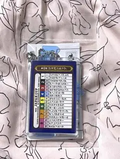 ⭐︎新品未開封　第45回ジャパンカップ　想い出馬券ホルダー