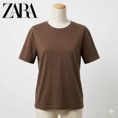 ZARA ザラ クルーネック 半袖Tシャツ ブラウン 茶 綿100%