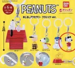 PEANUTS めじるしアクセサリー クラシックver.