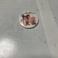 Item thumbnail for item 09310183-2319-437b-95e5-ddc083ce65f6