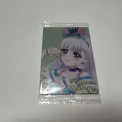 イカチャン専用 プリキュア　ウエハース　キュアニャミー　HR