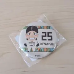 北海道日本ハムファイターズ 宮西尚生 缶バッジ 25 - メルカリ
