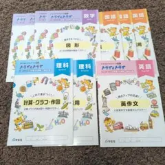 セール♪ トライ＆トライ 高校受験参考書 問題のサムネイル