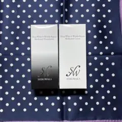 Item thumbnail for item d12124da-945d-4ed3-925a-60d3f4d7426d