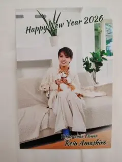 ニック様 リクエスト 2点 まとめ商品