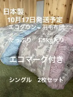 2枚セット【エコダウン使用】寒冷地仕様　羽毛布団　シングル　ホテル仕様