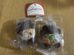 メイリーパーラー カラフルチョコレートクッキー・チョコチップクッキー　セット