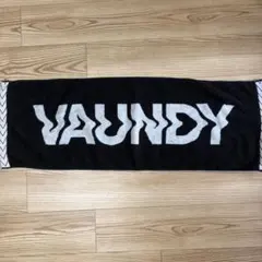 2026年最新】vaundyタオルの人気アイテム - メルカリ