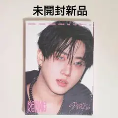 未開封新品◆スキズ KARMA アコーディオン チャンビン