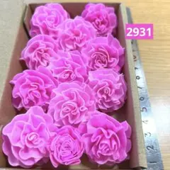 ソラフラワー　2931のサムネイル