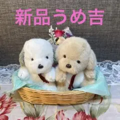 2025年最新】ぬいぐるみ うめ吉の人気アイテム - メルカリ