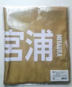 Item thumbnail for item 95d382c0-f8ce-452d-afd5-be47bd244bfb