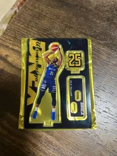 宇都宮ブレックス DJニュービル選手アクスタ