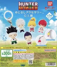 HUNTER×HUNTER めじるしアクセサリー ゴン