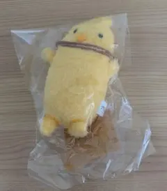 ツキプロ　ツキコット　いんふぇに