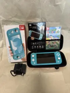 2026年最新】Switch lite 本体 あつまれ どうぶつの森セットの人気