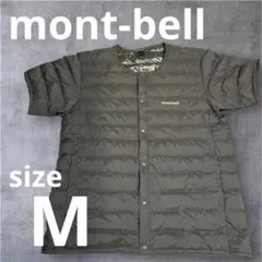 Item thumbnail for item 887f42b2-694b-4a66-ac21-2ffa26b4756e