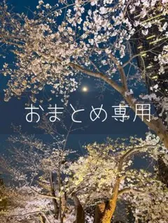 はるちゃんlove❤️様 リクエスト 2点 まとめ商品