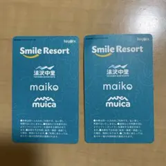 舞子スノーリゾート1日リフト券✖️2枚 リフト料金｜Winter | 【公式】舞子リゾート