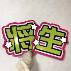 timelesz うちわ文字 橋本将生 派手 規定外 可愛い