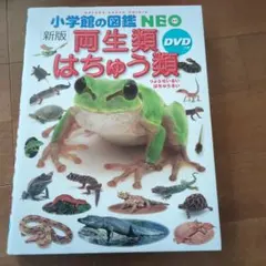小学館の図鑑NEO　両生類はちゅう類　DVD付き