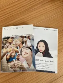 たりないピース、たりないピース2 宮﨑あおい×宮﨑 将 まとめ売り