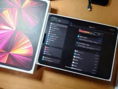 iPad Pro 11インチ (M1) 128GB Wi-Fi 本体＋ケース