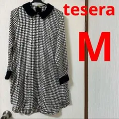 Item thumbnail for item 620749de-5063-4390-9f43-6b586dd91187